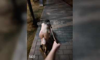 專約極品大神『橘sir-S』深夜路邊逮到一隻流浪小母狗，從路邊到公園溜了一圈，不斷的躲避著來往的行人，帶到一處僻靜的角落，勒著脖子狠狠的後入！