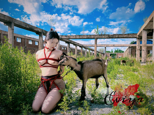 頂級調教大神『東北原創』極致反差婊 在別人眼裡是清純舞蹈生 在這只配做下賤母狗 騷逼塞絲襪撒尿 白絲一字馬滴蠟