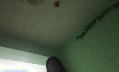 極品性愛 鑽石泄密 第4季 高清4K級畫質 真實流出 吸D後亂倫多P運動各種亂操約炮 高清 (1)