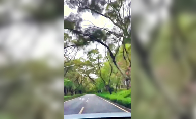 超淫母狗人妻『深綠岸』全新淫亂雙飛-騷妻和綠帽老公調教3P黑絲閨蜜  (9)