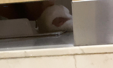 作死廁拍大神 商場美食層蹲守公共女衛連續偸拍多位小姐姐方便 (2)