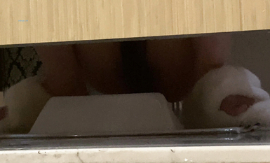 作死廁拍大神 商場美食層蹲守公共女衛連續偸拍多位小姐姐方便 (2)