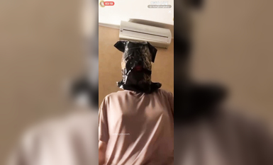 最新《瘋狂抖音》外篇之《抖音擦邊》眾女神直播中各種閃現走光刷邊 露毛露屁 凸點誘惑 (85)