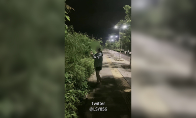 極品推特淫盪人妻性玩物▌林淑怡▌全裸壓馬路尋刺激 男公廁全裸待插後入懟穴 (4)