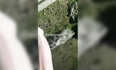 五個極品身材蘿莉反差露出萌妹 公路啪啪 戶外野戰 餐廳露出 絕版資源 小韻 (8)