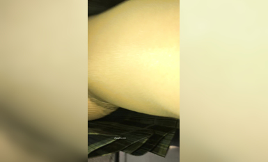 稀缺學姐專場 專業抄底靚麗制服學姐珍藏版 貼著美女屁股抄 有燈光加持畫質特好 超清4K原版9051 (2)