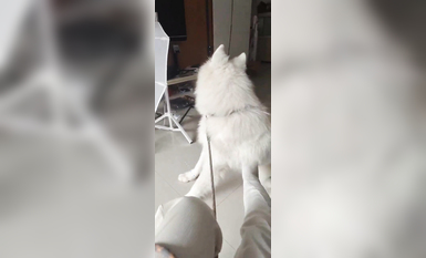 兩位高顏值COS女神『木之本瀾+桃谷若姬子』最新大尺私拍 各式動漫女神 美乳粉穴 高清 (15)