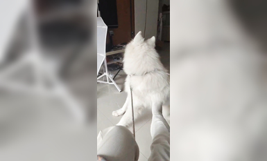 兩位高顏值COS女神『木之本瀾+桃谷若姬子』最新大尺私拍 各式動漫女神 美乳粉穴 高清 (15)