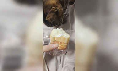 兩位高顏值COS女神『木之本瀾+桃谷若姬子』最新大尺私拍 各式動漫女神 美乳粉穴 高清 (8)