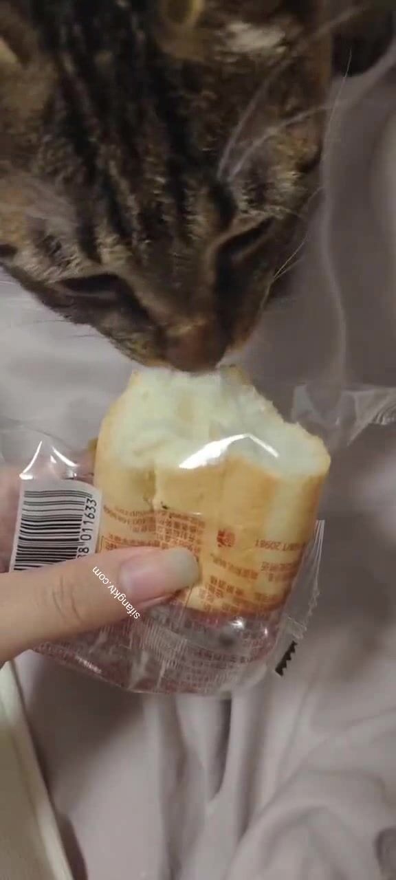 兩位高顏值COS女神『木之本瀾+桃谷若姬子』最新大尺私拍 各式動漫女神 美乳粉穴 高清 (8)