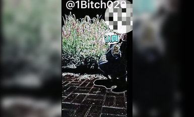 推特露出女神『Mingo愛露出』廣州高顏值人妻母狗露出啪啪私拍流出 大膽刺激 高清 (2)