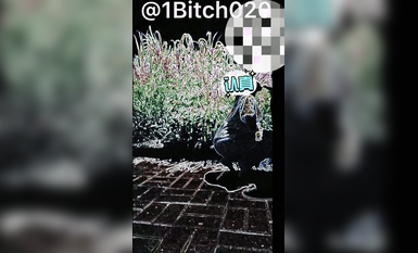 推特露出女神『Mingo愛露出』廣州高顏值人妻母狗露出啪啪私拍流出 大膽刺激 高清 (2)